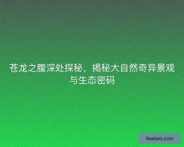 苍龙之腹深处探秘，揭秘大自然奇异景观与生态密码