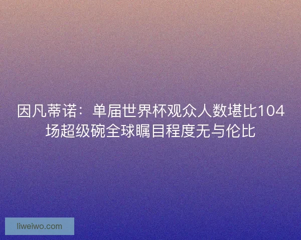 因凡蒂诺：单届世界杯观众人数堪比104场超级碗全球瞩目程度无与伦比